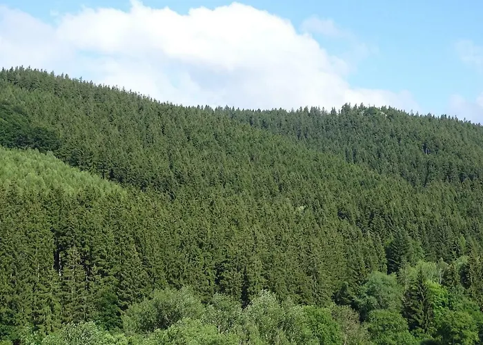 Ferienwohnung Am Berggrabenweg