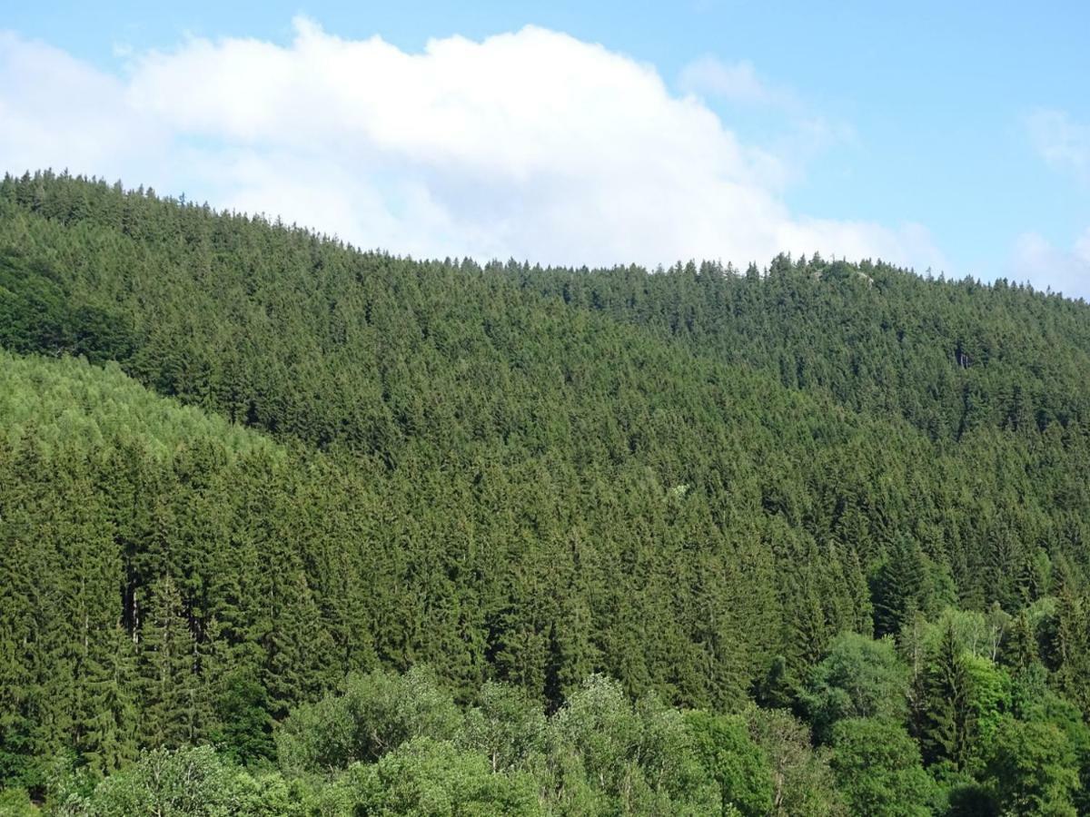 Am Berggrabenweg *