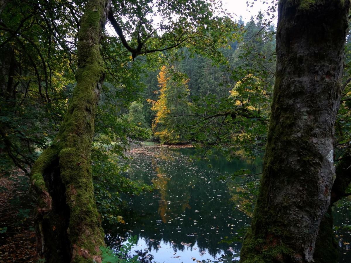 Am Berggrabenweg Ilmenau